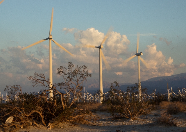 2014 (9).jpg - South West Desert